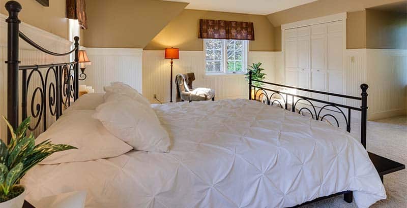 How To Get Rid Of Bed Bugs In Your Home
