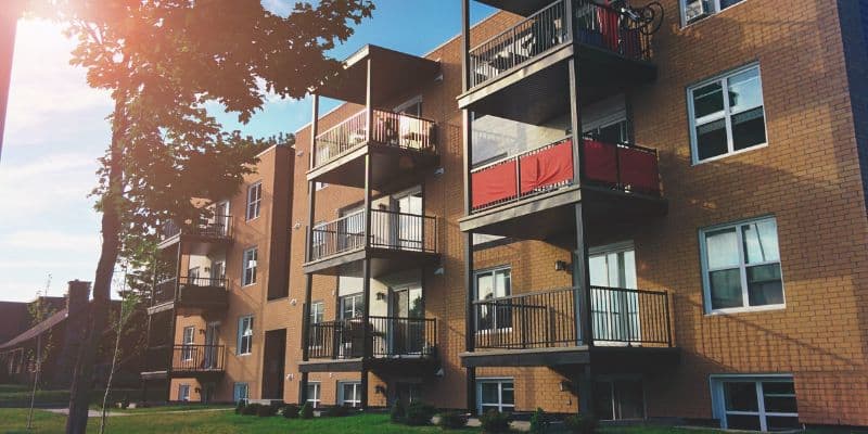 Bedbugs In Apartment Buiilding, Tenant Versus Landlord