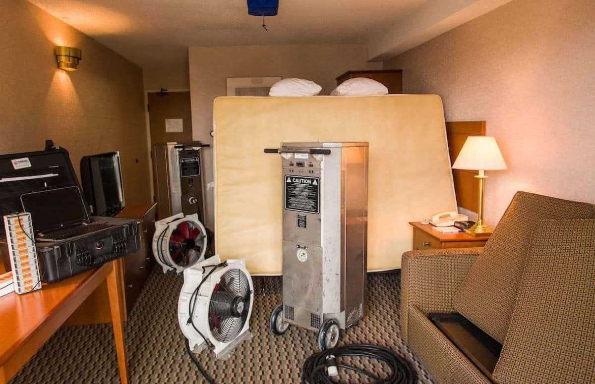Bed Bug Heat Treatment vs. Other Traditional Extermination Methods traitement contre les punaises de lit